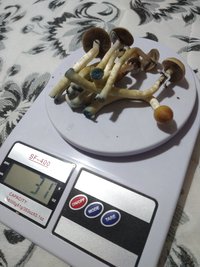 IMG_20201204_000235549.jpg