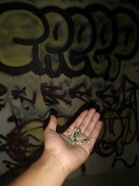 IMG_20201204_201119276.jpg