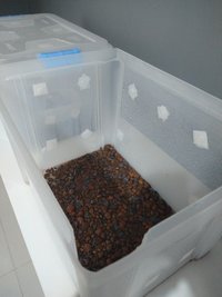 IMG_20201207_165431334.jpg