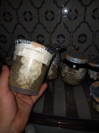 20201207_204836.jpg