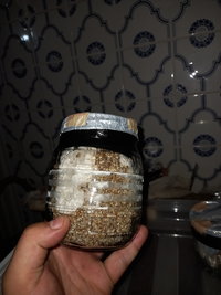 20201207_204924.jpg