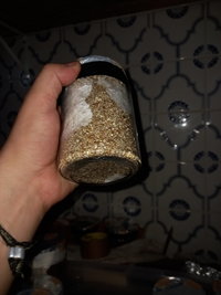 20201207_204955.jpg