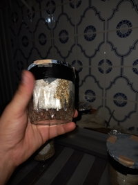 20201207_205006.jpg