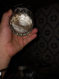 20201207_205017.jpg