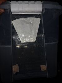 20201207_211205.jpg