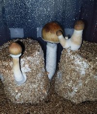 20201208_001159.jpg