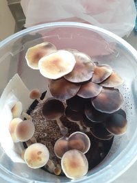 20201205_100029[1].jpg