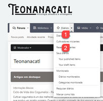 diarioCI_ 01.jpg