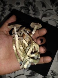 IMG_20201210_222554915.jpg