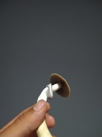 IMG_20201210_220719336.jpg