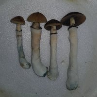 20201211_110337.jpg