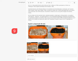 adicionar-diario05.jpg