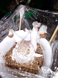 20201129_231004.jpg