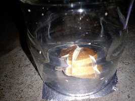 20201129_231011.jpg