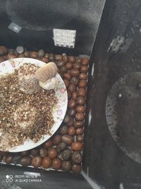 IMG_20201215_144051.jpg