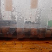 20201216_125040.jpg