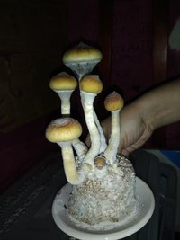 IMG_20201214_223953.jpg
