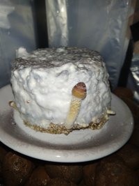 IMG_20201216_192749.jpg