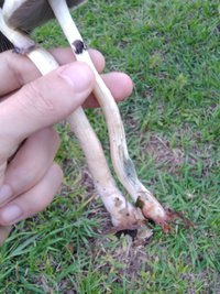 IMG_20201218_183827.jpg
