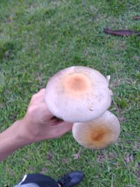 IMG_20201218_183640.jpg