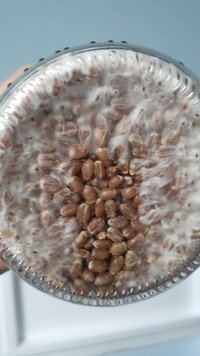 20201220_153945.jpg