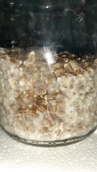 20201220_154645.jpg