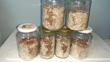 20201220_154743.jpg