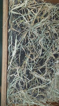 IMG-20201222-WA0060.jpeg