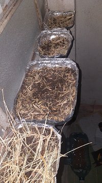 IMG-20201221-WA0065.jpeg