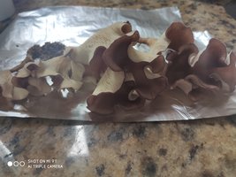 IMG_20201223_091338.jpg