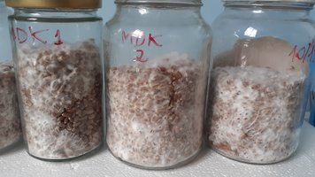 20201223_075709.jpg