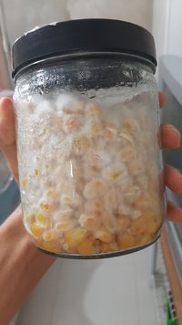 IMG-20201226-WA0011.jpeg