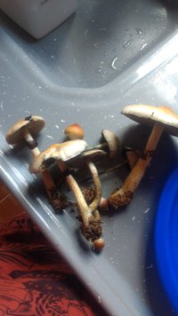 IMG-20201226-WA0018.jpeg