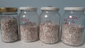 20201227_095843.jpg