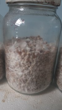20201227_095911.jpg