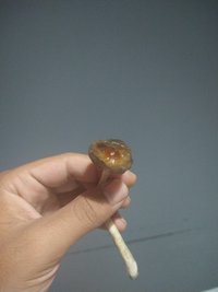 IMG_20201230_180526113.jpg