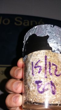 IMG-20201219-WA0021.jpeg