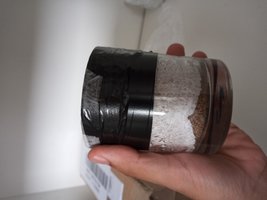 R2.jpg