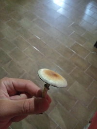 20201230_180150_HDR.jpg