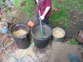 Cortando a palha.jpg