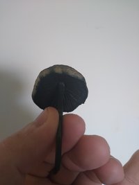 IMG_20210121_111155017.jpg