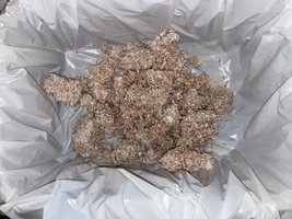 apeR_003.jpg