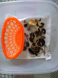 IMG_20210122_093614433.jpg
