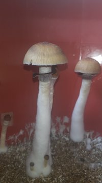 20210128_160016.jpg