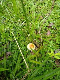 IMG_20210128_094701805.jpg
