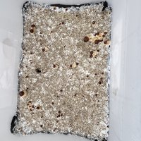 20210212_muitos_pins.jpg