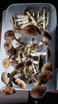 20210214_171130.jpg