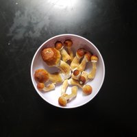 20210213_102039.jpg