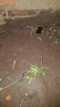 IMG-20210224-WA0072.jpeg