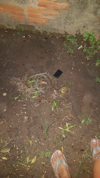 IMG-20210224-WA0074.jpeg